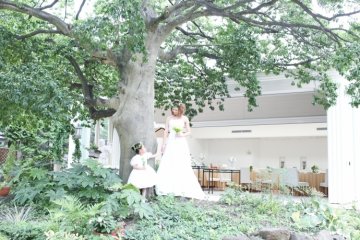 アンジュ・デ・ラヴィ